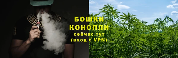 мдпв Сафоново