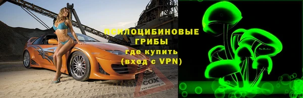 тгк Алексин