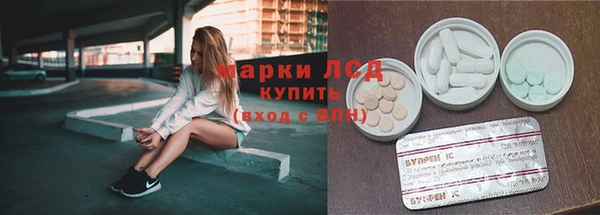 apvp Алзамай