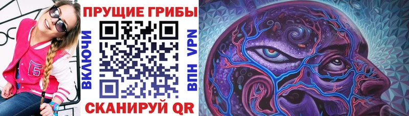 Псилоцибиновые грибы Cubensis  Нягань 